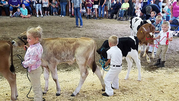 Little Britches